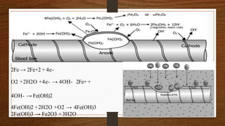 2Fe → 2Fe+2 + 4e-
O2 +2H2O +4e- → 4OH- 2Fe++
4OH- → Fe(OH)2
4Fe(OH)2 +2H2O +O2 → 4Fe(OH)3
2Fe(OH)3 → Fe2O3 +3H2O
 