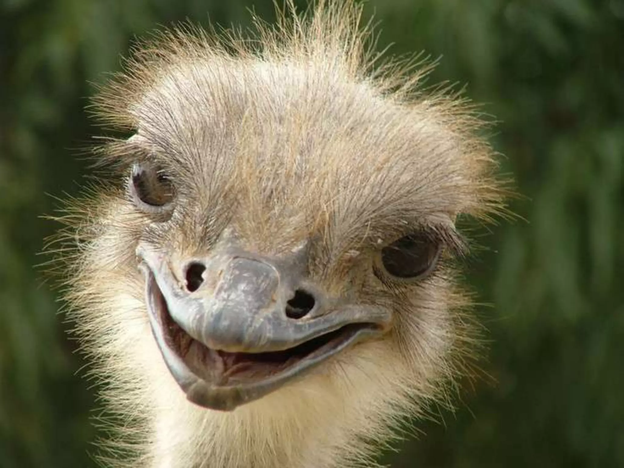 The Cranky QuizScore 1 for yes—even if it is only sometimes