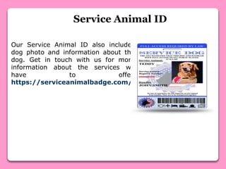Service Animal ID
Our Service Animal ID also includes
dog photo and information about the
dog. Get in touch with us for more
information about the services we
have to offer.
https://serviceanimalbadge.com/
 
