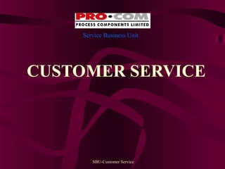 Service Business Unit

CUSTOMER SERVICE

SBU-Customer Service

 