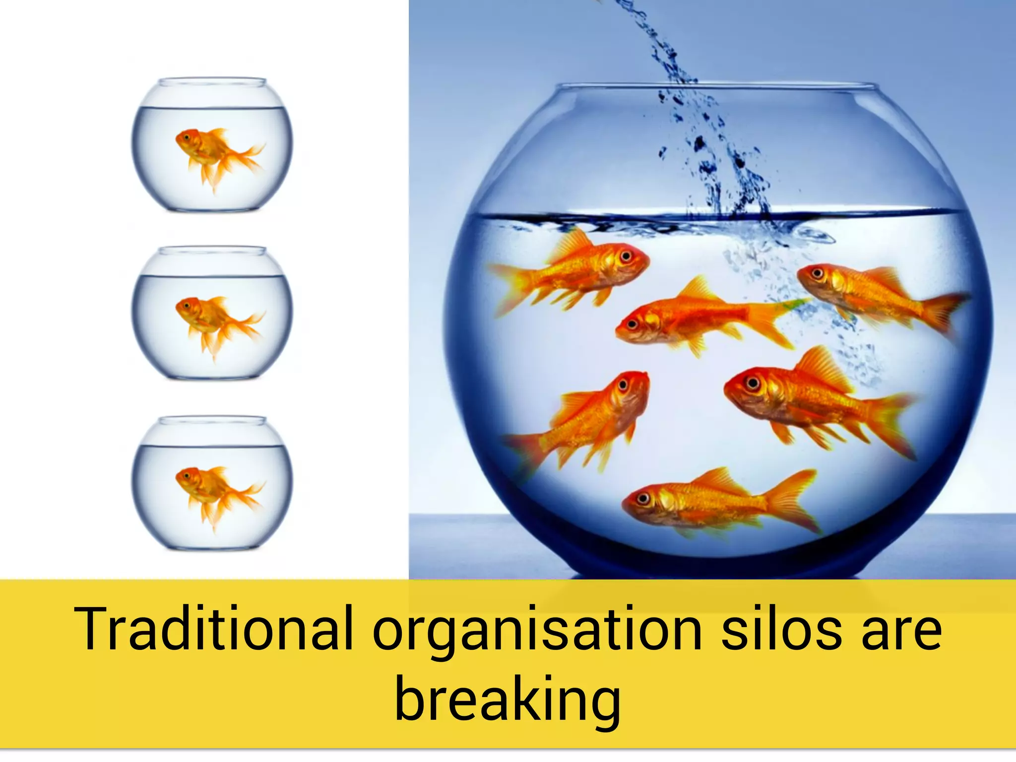 Traditional organisation silos are
breaking
 