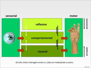 visceral comportamental reflexivo sensorial motor percepção pensamento controle controle Os três níveis interagem entre si, cada um modulando o outro. 