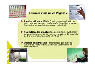 Les axes majeurs de Vegenov
Amélioration variétale (cartographie génétique,
sélection assistée par marqueurs, haplométhodes et
évaluation des résistances aux maladies)
Protection des plantes (épidémiologie, évaluation
de désinfectants des serres et évaluation de produits
de traitements alternatifs, dont SDP)
Qualité des produits (empreintes génétiques,
culture de méristèmes, analyses sensorielles et
nutritionnelles)
 