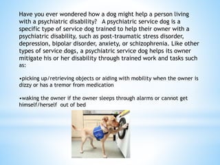 Have you ever wondered how a dog might help a person living
with a psychiatric disability? A psychiatric service dog is a
specific type of service dog trained to help their owner with a
psychiatric disability, such as post-traumatic stress disorder,
depression, bipolar disorder, anxiety, or schizophrenia. Like other
types of service dogs, a psychiatric service dog helps its owner
mitigate his or her disability through trained work and tasks such
as:
•picking up/retrieving objects or aiding with mobility when the owner is
dizzy or has a tremor from medication
•waking the owner if the owner sleeps through alarms or cannot get
himself/herself out of bed
 