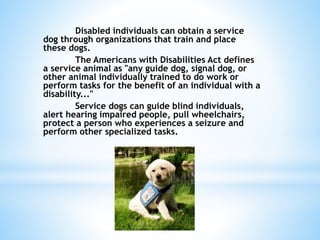 Disabled individuals can obtain a service
dog through organizations that train and place
these dogs.
The Americans with Disabilities Act defines
a service animal as "any guide dog, signal dog, or
other animal individually trained to do work or
perform tasks for the benefit of an individual with a
disability..."
Service dogs can guide blind individuals,
alert hearing impaired people, pull wheelchairs,
protect a person who experiences a seizure and
perform other specialized tasks.
 