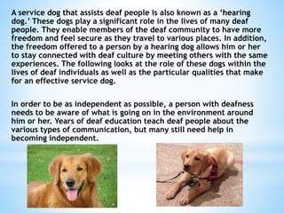 A service dog that assists deaf people is also known as a ‘hearing
dog.’ These dogs play a significant role in the lives of many deaf
people. They enable members of the deaf community to have more
freedom and feel secure as they travel to various places. In addition,
the freedom offered to a person by a hearing dog allows him or her
to stay connected with deaf culture by meeting others with the same
experiences. The following looks at the role of these dogs within the
lives of deaf individuals as well as the particular qualities that make
for an effective service dog.
In order to be as independent as possible, a person with deafness
needs to be aware of what is going on in the environment around
him or her. Years of deaf education teach deaf people about the
various types of communication, but many still need help in
becoming independent.
 