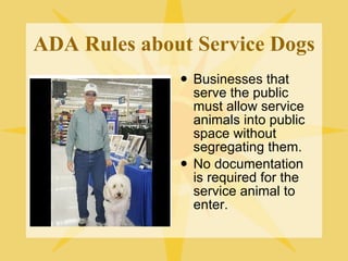 ADA Rules about Service Dogs Businesses that serve the public must allow service animals into public space without segregating them. No documentation is required for the service animal to enter. 