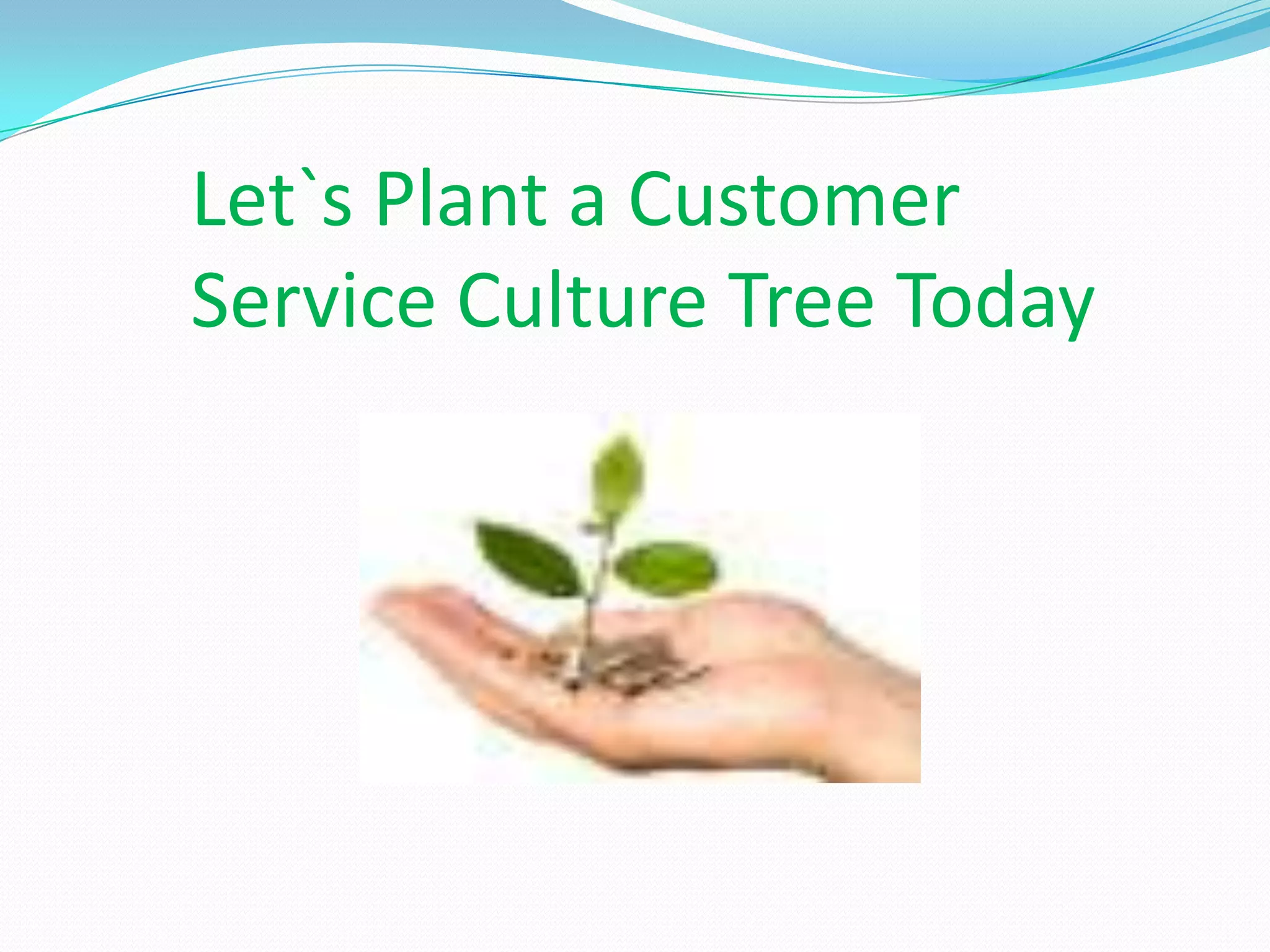 Let`s Plant a Customer
Service Culture Tree Today
 