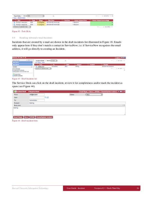 Service Now User