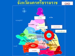 ร.พ.มหาราชฯ
ร.พ.ค่ายวชิราวุธฯ
ร.พ.ทุ่งสง
CKD
ร.พ.ท่าศาลา
ร.พ.สิชล
 