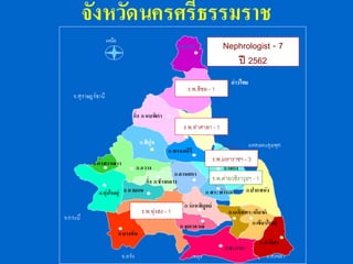 ร.พ.มหาราชฯ - 3
ร.พ.ค่ายวชิราวุธฯ - 1
ร.พ.ทุ่งสง - 1
Nephrologist - 7
ปี 2562
ร.พ.ท่าศาลา - 1
ร.พ.สิชล - 1
 