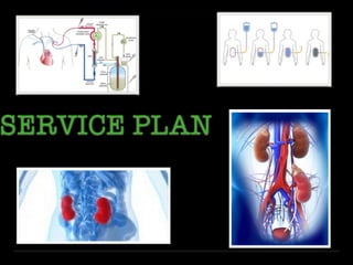 SERVICE PLAN
 