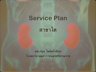 Service Plan

สาขาไต
นพ.กมล โฆษิตรังสิกุล
โรงพยาบาลมหาราชนครศรีธรรมราช
 