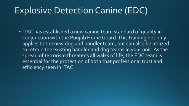 Services, International Tactical and Canine Training Centre