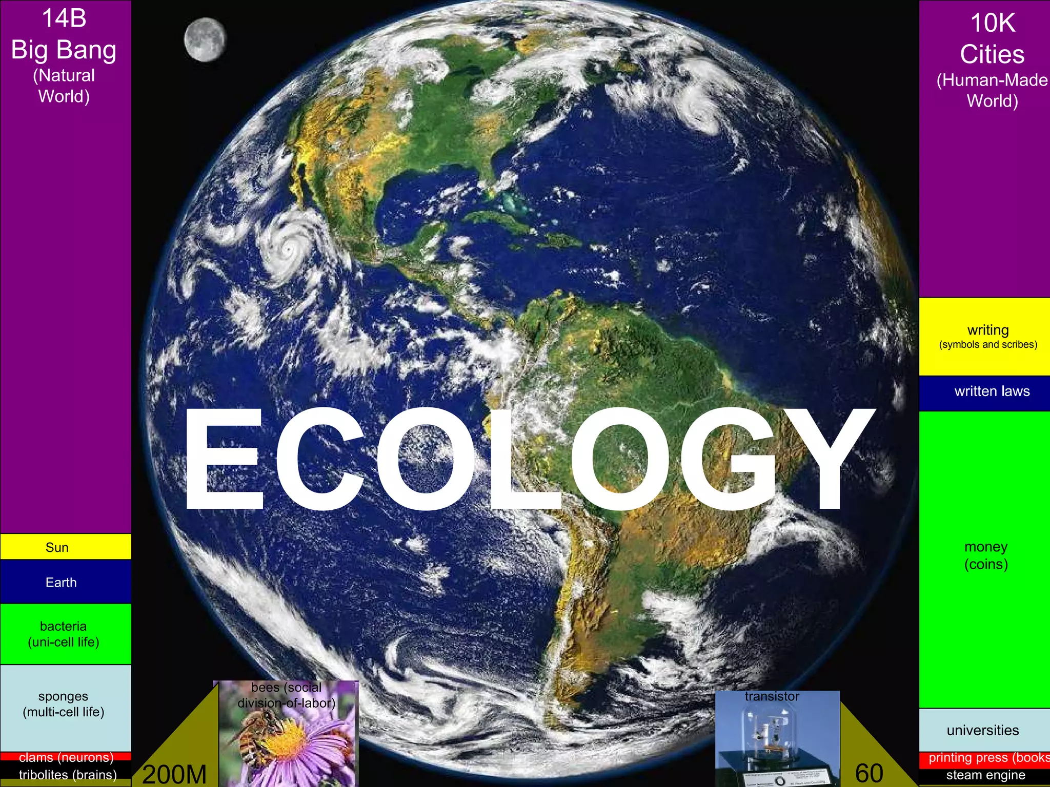Time ECOLOGY 14B Big Bang (Natural World) 10K Cities (Human-Made World) Sun writing (symbols and scribes) Earth written laws bacteria (uni-cell life) sponges (multi-cell life) money (coins) universities clams (neurons) tribolites (brains) printing press (books) steam engine 200M bees (social division-of-labor) 60 transistor 