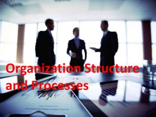Organization Structure
and Processes
 