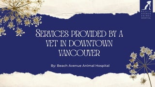 Services provided by a
vet in downtown
vancouver
By: Beach Avenue Animal Hospital
 