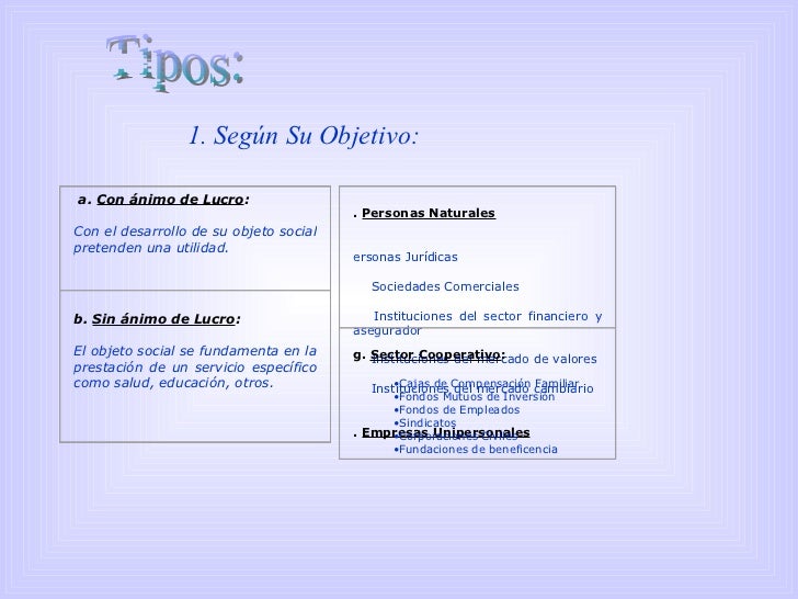 Automercado objeto social