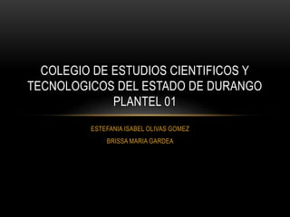 ESTEFANIA ISABEL OLIVAS GOMEZ
BRISSA MARIA GARDEA
COLEGIO DE ESTUDIOS CIENTIFICOS Y
TECNOLOGICOS DEL ESTADO DE DURANGO
PLANTEL 01
 