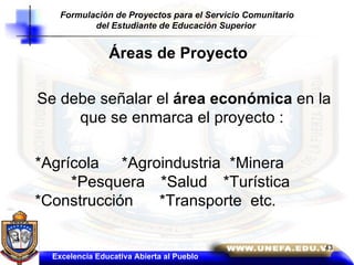 Áreas de Proyecto Se debe señalar el  área económica  en la que se enmarca el proyecto :  *Agrícola  *Agroindustria  *Minera  *Pesquera *Salud *Turística  *Construcción  *Transporte  etc.  Excelencia Educativa Abierta al Pueblo Formulación de Proyectos para el Servicio Comunitario del Estudiante de Educación Superior  