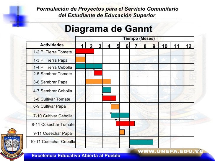 Servicio Comunitario 2010