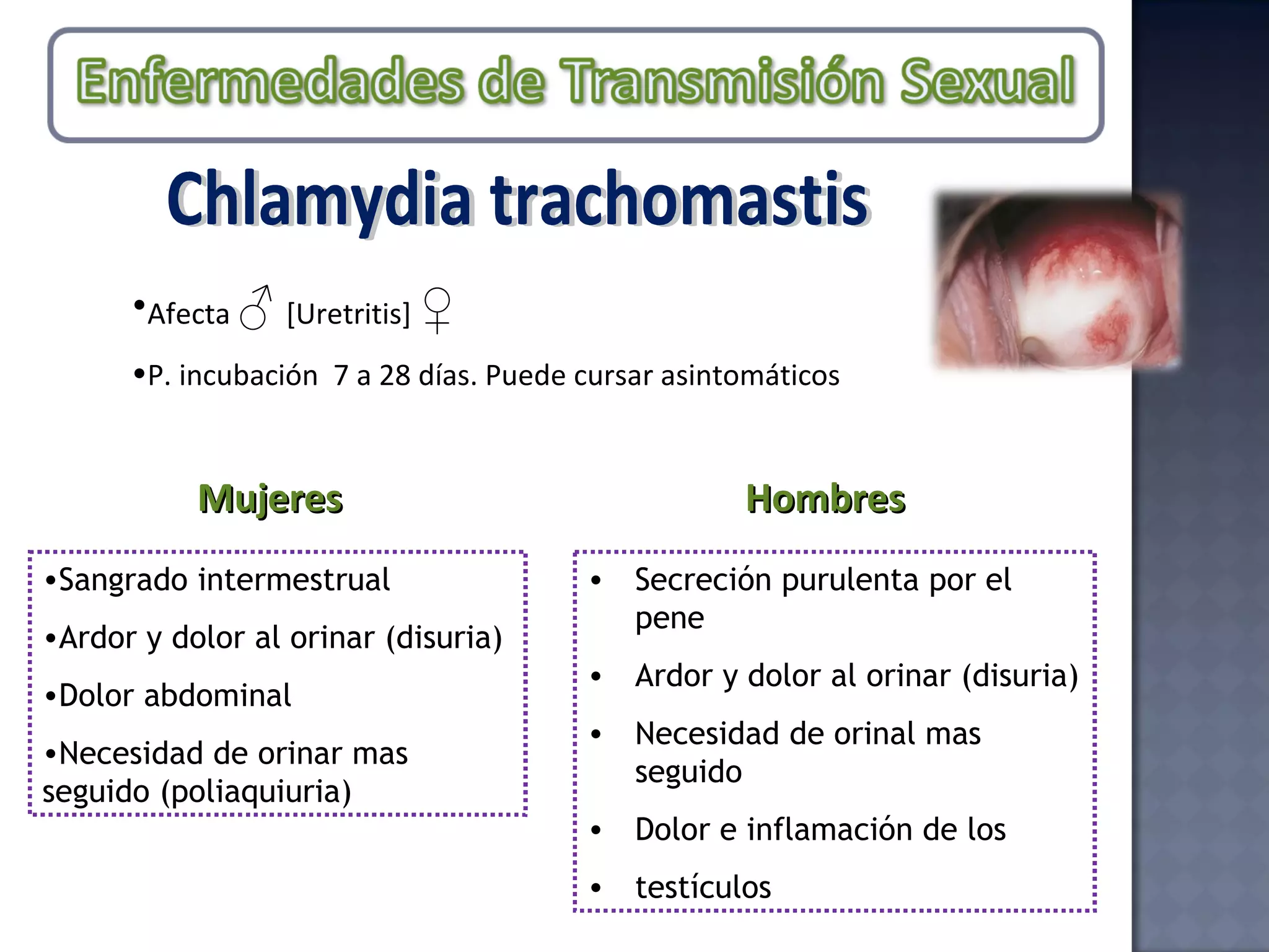 Afecta  ♂  [Uretritis]  ♀  P. incubación  7 a 28 días. Puede cursar asintomáticos Hombres Mujeres Sangrado intermestrual Ardor y dolor al orinar (disuria) Dolor abdominal Necesidad de orinar mas seguido (poliaquiuria) Secreción purulenta por el pene Ardor y dolor al orinar (disuria) Necesidad de orinal mas seguido Dolor e inflamación de los testículos Chlamydia trachomastis 