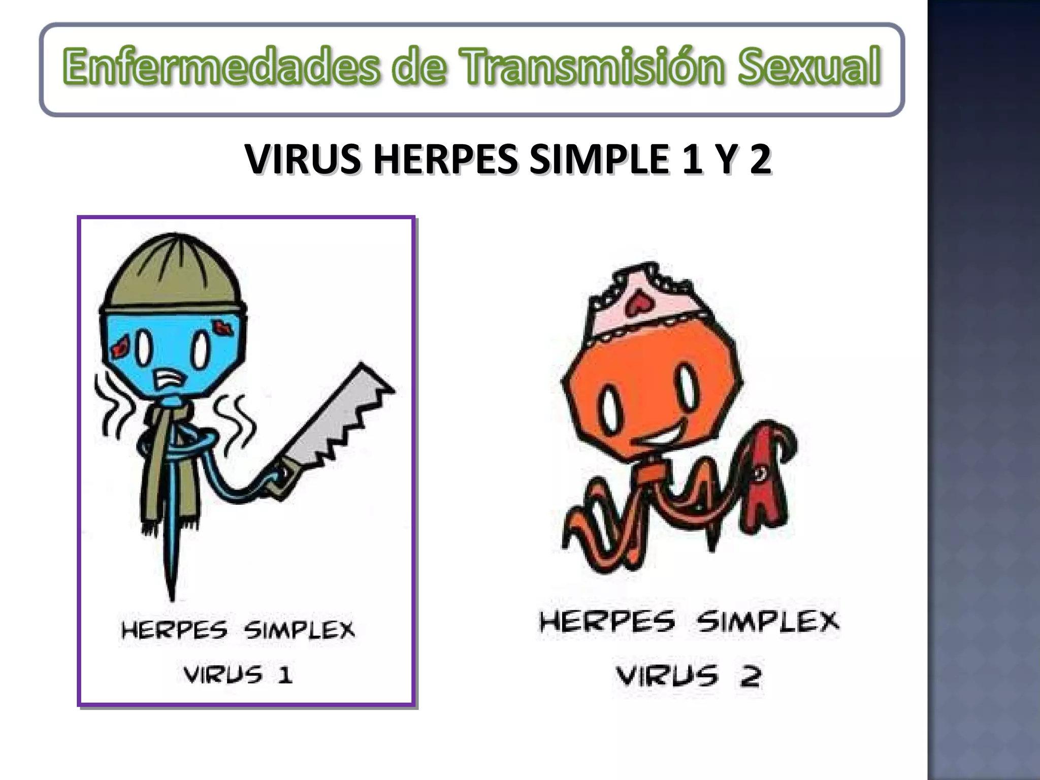 VIRUS HERPES SIMPLE 1 Y 2 