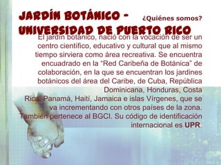 Jardín Botánico - ¿Quiénes somos?
Universidad de Puerto Rico un
   El jardín botánico, nació con la vocación de ser
     centro científico, educativo y cultural que al mismo
    tiempo sirviera como área recreativa. Se encuentra
       encuadrado en la “Red Caribeña de Botánica” de
     colaboración, en la que se encuentran los jardines
     botánicos del área del Caribe, de Cuba, República
                           Dominicana, Honduras, Costa
 Rica, Panamá, Haití, Jamaica e islas Vírgenes, que se
         va incrementando con otros países de la zona.
También pertenece al BGCI. Su código de identificación
                                   internacional es UPR.
 
