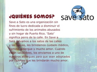 ¿Quiénes somos?
Save a Sato es una organización sin
fines de lucro dedicada a disminuir el
sufrimiento de los animales abusados
y sin hogar de Puerto Rico. ‘Sato’
significa perro de la calle. En Save a
Sato salvamos a los satos de las calles
y las playas, les brindamos cuidado médico,
comida, albergue y mucho amor. Cuando
están saludables, los enviamos a uno de
nuestros albergues para que sean adoptados
por familias que les brindarán mucho amor.
 