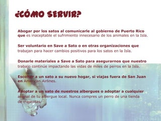¿CÓMO SERVIR?
Abogar por los satos al comunicarle al gobierno de Puerto Rico
que es inaceptable el sufrimiento innecesario de los animales en la Isla.

Ser voluntario en Save a Sato o en otras organizaciones que
trabajan para hacer cambios positivos para los satos en la Isla.

Donarle materiales a Save a Sato para asegurarnos que nuestro
trabajo continúe impactando las vidas de miles de perros en la Isla.

Escoltar a un sato a su nuevo hogar, si viajas fuera de San Juan
en American Airlines.

Adoptar a un sato de nuestros albergues o adoptar a cualquier
animal de tu albergue local. Nunca compres un perro de una tienda
de mascotas.
 