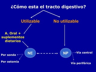 ¿Cómo esta el tracto digestivo?
Utilizable No utilizable
A. Oral +
suplementos
dietarios
NE NPPor sonda
Por ostomía
Vía central
Vía periférica
 