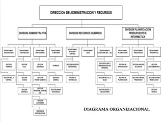 DIAGRAMA ORGANIZACIONAL
 