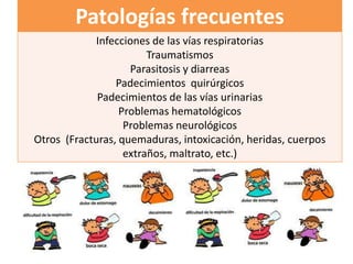 Patologías frecuentes
Infecciones de las vías respiratorias
Traumatismos
Parasitosis y diarreas
Padecimientos quirúrgicos
Padecimientos de las vías urinarias
Problemas hematológicos
Problemas neurológicos
Otros (Fracturas, quemaduras, intoxicación, heridas, cuerpos
extraños, maltrato, etc.)

 