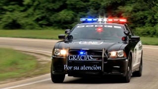 Servicio de vigilancia y patrullae