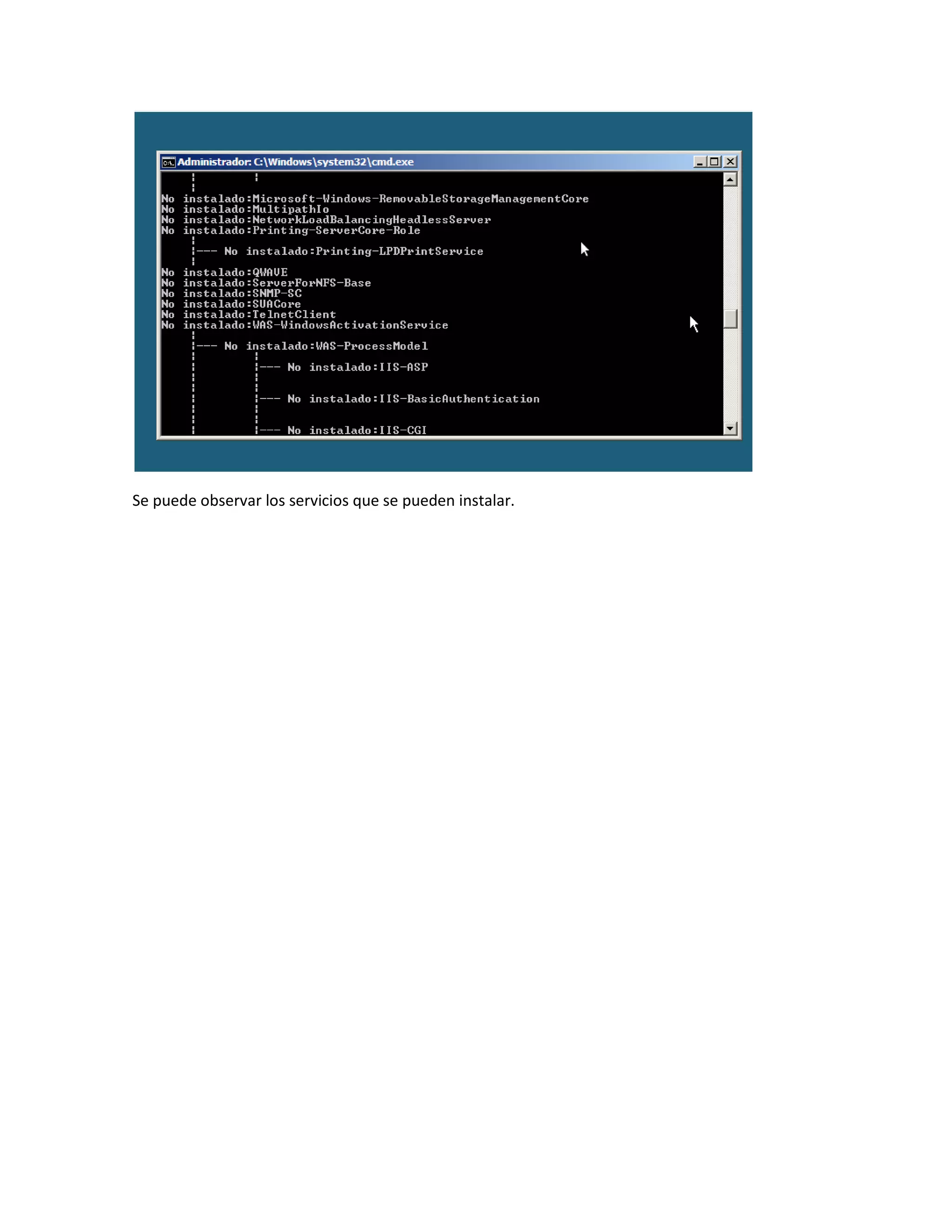 Se puede observar los servicios que se pueden instalar.
 
