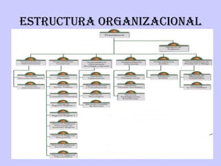 ESTRUCTURA ORGANIZACIONAL 