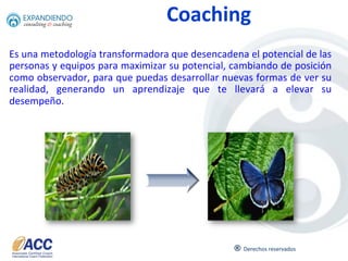 ®	
  
Porque con CoachingEl	
   coaching	
   fue	
   considerado	
   como	
   una	
   profesion	
   a	
   par6r	
   de	
   la	
   creacion	
   de	
   la	
   Interna'onal	
   Coach	
   Federa'on,	
   mo6vo	
   que	
  
posteriormente	
  se	
  crearan	
  otras	
  organizaciones.
03	
  
ü  Es	
  un	
  proceso	
  en	
  el	
  que	
  se	
  acompaña	
  al	
  logro	
  de	
  obje6vos	
  
ü  Incrementa	
  el	
  nivel	
  de	
  compromiso	
  del	
  personal	
  
ü  Apoya	
  en	
  el	
  establecimiento	
  de	
  prioridades	
  
ü  Descubre	
  nuevas	
  forma	
  de	
  solución	
  
ü  Mejora	
  la	
  ac6tud	
  de	
  las	
  personas	
  
ü  ROI	
  de	
  5.7	
  veces	
  lo	
  inver<do	
  en	
  ellos	
  	
  
	
  Según	
  una	
  inves6gación	
  realizada	
  por	
  Manchester	
  Inc.	
  
 