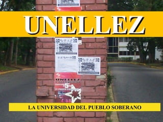 LA UNIVERSIDAD DEL PUEBLO SOBERANO UNELLEZ 