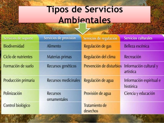 Resultado de imagen para Servicios Ambientales