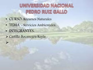 • CURSO: Recursos Naturales
• TEMA : Servicios Ambientales
• INTEGRANTES:
 Castillo Bocanegra Keyla

 