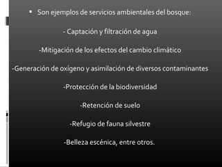  Son ejemplos de servicios ambientales del bosque:

                - Captación y filtración de agua

        -Mitigación de los efectos del cambio climático

-Generación de oxígeno y asimilación de diversos contaminantes

                -Protección de la biodiversidad

                     -Retención de suelo

                  -Refugio de fauna silvestre

                -Belleza escénica, entre otros.
 