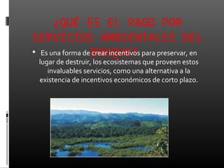 ¿QUÉ ES EL PAGO POR
SERVICIOS AMBIENTALES DEL
 Es una forma deBOSQUE? para preservar, en
                 crear incentivos
 lugar de destruir, los ecosistemas que proveen estos
    invaluables servicios, como una alternativa a la
 existencia de incentivos económicos de corto plazo.
 