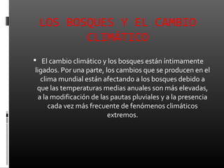 LOS BOSQUES Y EL CAMBIO
        CLIMÁTICO
 El cambio climático y los bosques están íntimamente
ligados. Por una parte, los cambios que se producen en el
  clima mundial están afectando a los bosques debido a
 que las temperaturas medias anuales son más elevadas,
 a la modificación de las pautas pluviales y a la presencia
     cada vez más frecuente de fenómenos climáticos
                         extremos.
 