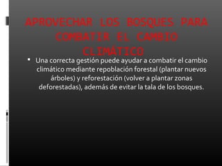 APROVECHAR LOS BOSQUES PARA
     COMBATIR EL CAMBIO
         CLIMÁTICO
 Una correcta gestión puede ayudar a combatir el cambio
  climático mediante repoblación forestal (plantar nuevos
      árboles) y reforestación (volver a plantar zonas
   deforestadas), además de evitar la tala de los bosques.
 