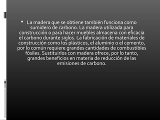  La madera que se obtiene también funciona como
       sumidero de carbono. La madera utilizada para
 construcción o para hacer muebles almacena con eficacia
 el carbono durante siglos. La fabricación de materiales de
construcción como los plásticos, el aluminio o el cemento,
por lo común requiere grandes cantidades de combustibles
     fósiles. Sustituirlos con madera ofrece, por lo tanto,
      grandes beneficios en materia de reducción de las
                     emisiones de carbono.
 
