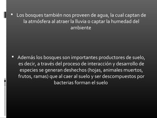  Los bosques también nos proveen de agua, la cual captan de
     la atmósfera al atraer la lluvia o captar la humedad del
                            ambiente




 Además los bosques son importantes productores de suelo,
   es decir, a través del proceso de interacción y desarrollo de
    especies se generan deshechos (hojas, animales muertos,
   frutos, ramas) que al caer al suelo y ser descompuestos por
                     bacterias forman el suelo
 