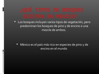¿QUÉ TIPOS DE BOSQUES
     EXISTEN EN MÉXICO?
 Los bosques incluyen varios tipos de vegetación, pero
    predominan los bosques de pino y de encino o una
                  mezcla de ambos.



  México es el país más rico en especies de pino y de
                   encino en el mundo
 