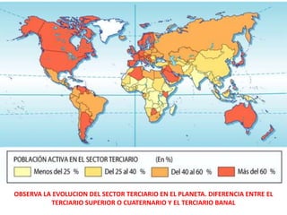 OBSERVA LA EVOLUCION DEL SECTOR TERCIARIO EN EL PLANETA. DIFERENCIA ENTRE EL
TERCIARIO SUPERIOR O CUATERNARIO Y EL TERCIARIO BANAL
 