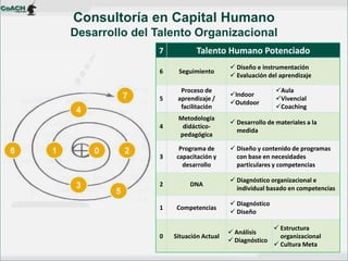 7 
Talento Humano Potenciado 
6 
Seguimiento 
Diseño e instrumentación 
Evaluación del aprendizaje 
5 
Proceso de aprendizaje / facilitación 
Indoor 
Outdoor 
Aula 
Vivencial 
Coaching 
4 
Metodología didáctico- pedagógica 
Desarrollo de materiales a la medida 
3 
Programa de capacitación y desarrollo 
Diseño y contenido de programas con base en necesidades particulares y competencias 
2 
DNA 
Diagnóstico organizacional e individual basado en competencias 
1 
Competencias 
Diagnóstico 
Diseño 
0 
Situación Actual 
Análisis 
Diagnóstico 
Estructura organizacional 
Cultura Meta 
Consultoría en Capital Humano Desarrollo del Talento Organizacional  