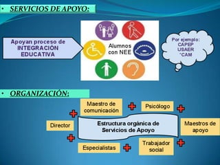 SERVICIOS DE APOYO:
